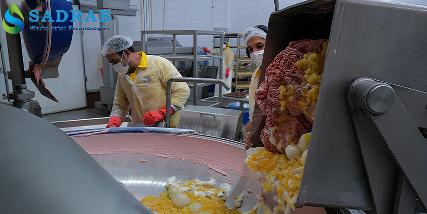 Construction Stages of Wastewater Treatment Plants for Processed Meat Production Units