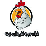 نگین جوجه